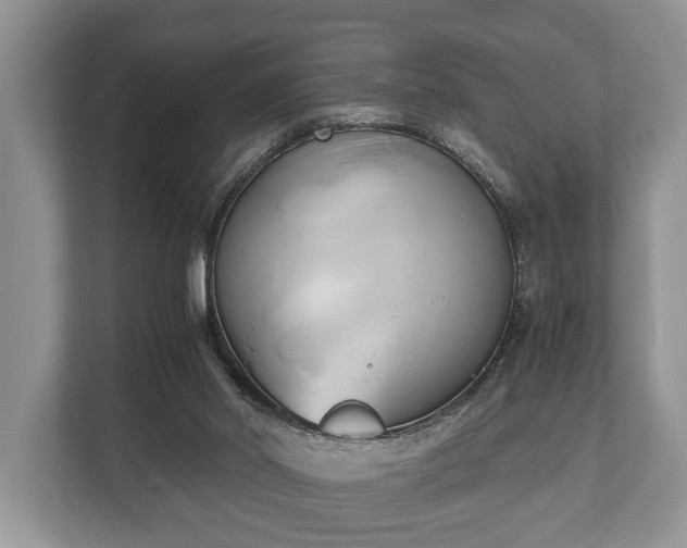 X0000110320014200905281642