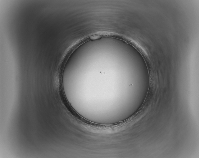 X0000110320015200905281642