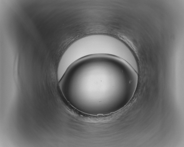 X0000110320017200905281642