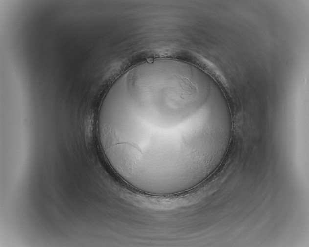 X0000110320018200905281642