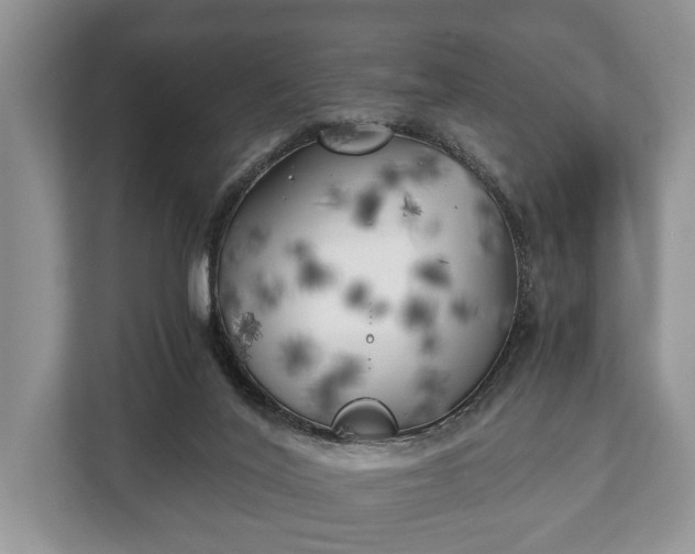 X0000110320020200905281642