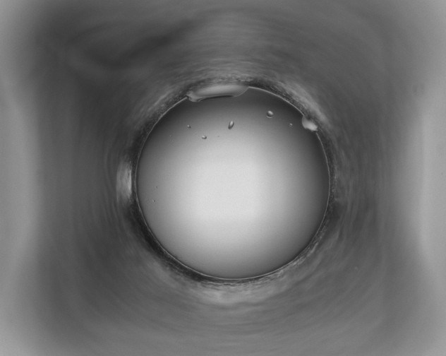 X0000110320021200905281642