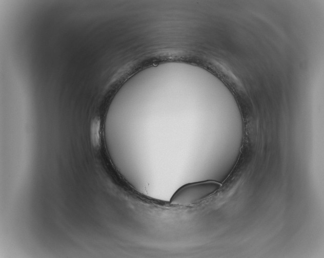 X0000110320024200905281641