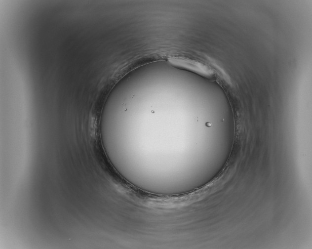 X0000110320025200905281641