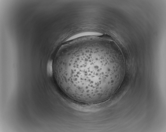 X0000110320028200905281641