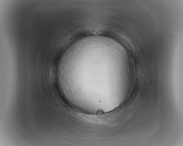 X0000110320030200905281641