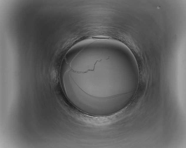 X0000110320031200905281641