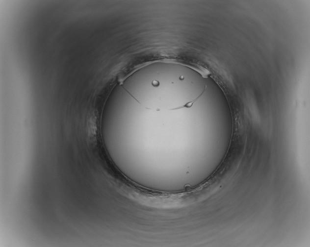 X0000110320032200905281641