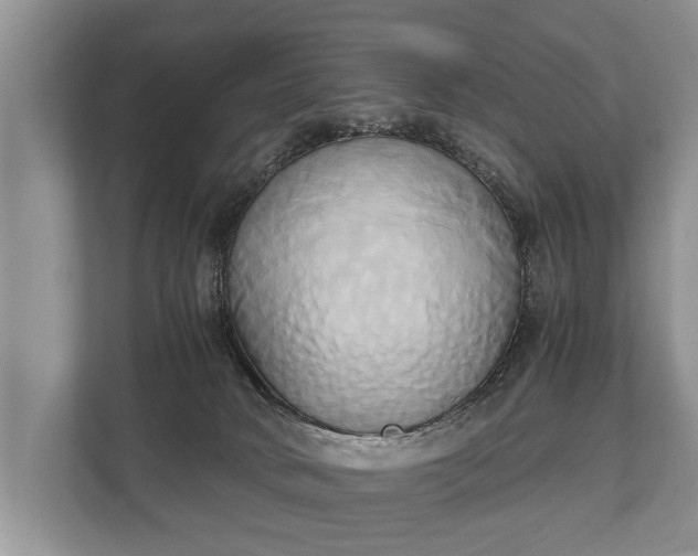 X0000110320034200905281641