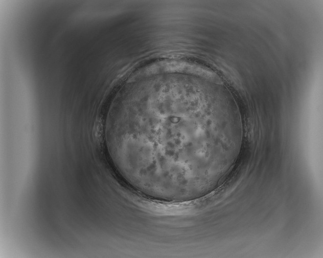 X0000110320036200905281641