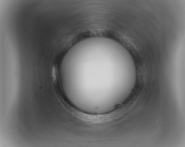 X0000110320038200905281641