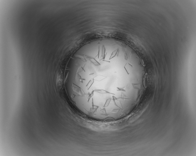 X0000110320040200905281641