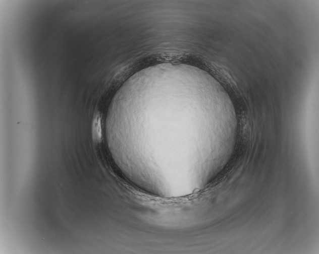 X0000110320042200905281641