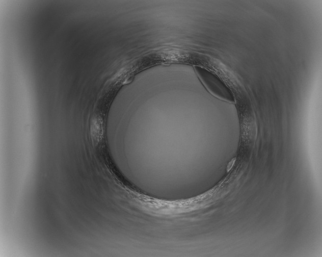 X0000110320043200905281641