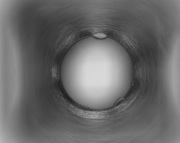 X0000110320044200905281641