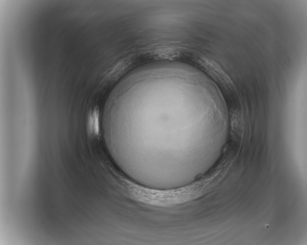 X0000110320046200905281641