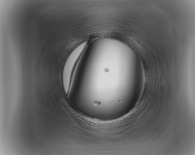 X0000110320047200905281641