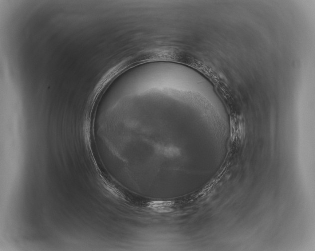 X0000110320051200905281641