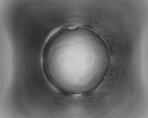 X0000110320054200905281641