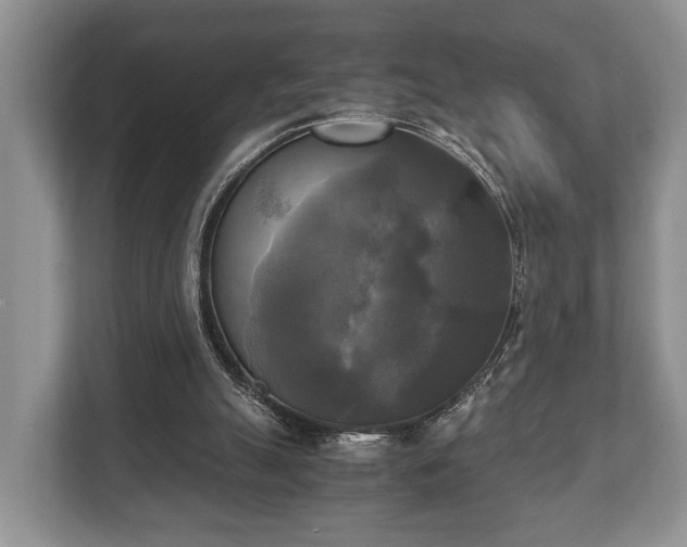 X0000110320055200905281641