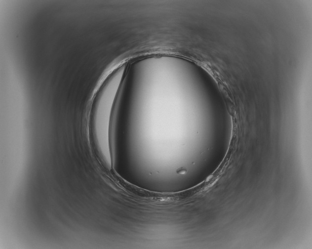 X0000110320056200905281641