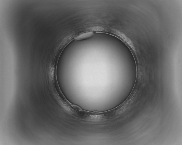 X0000110320057200905281641