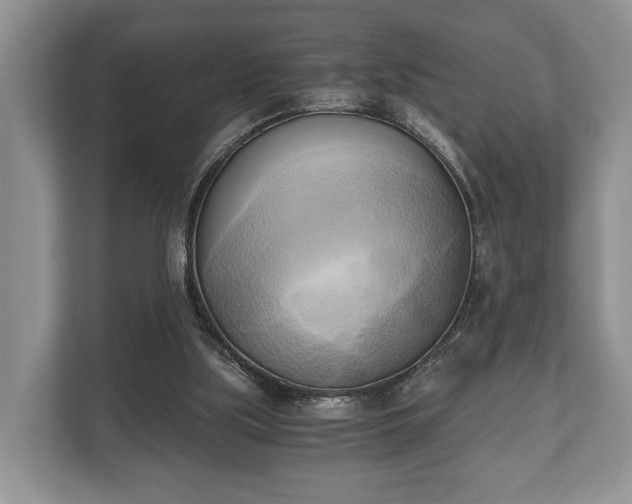 X0000110320059200905281641