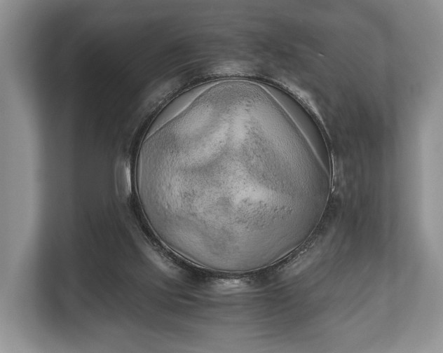 X0000110320061200905281641