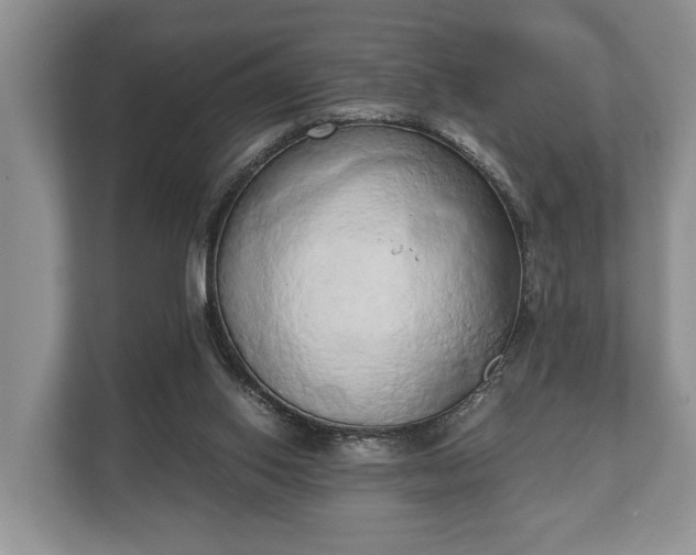 X0000110320062200905281641