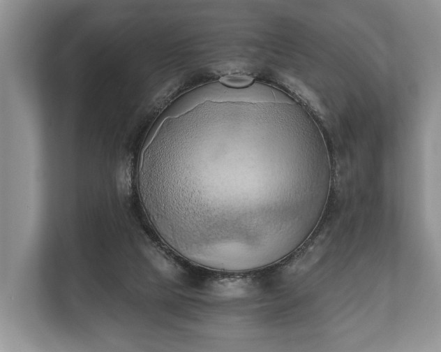 X0000110320065200905281641