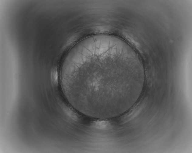 X0000110320067200905281641
