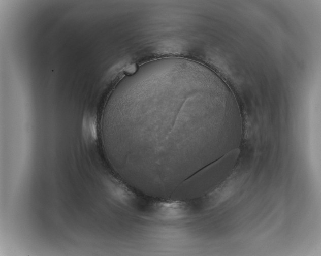 X0000110320068200905281641