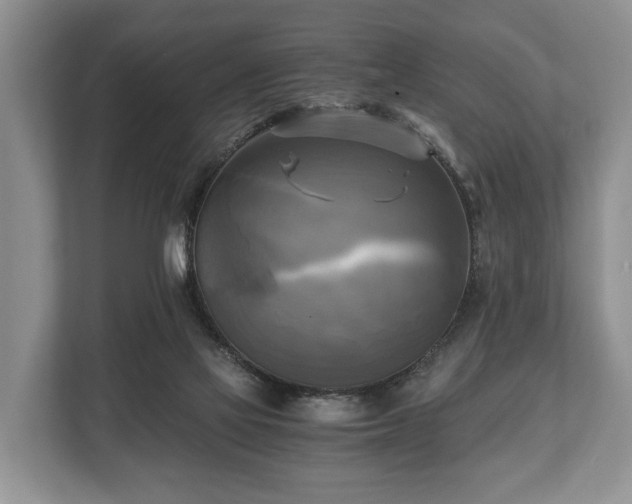 X0000110320069200905281641