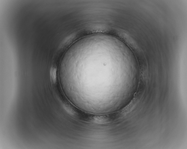 X0000110320070200905281641