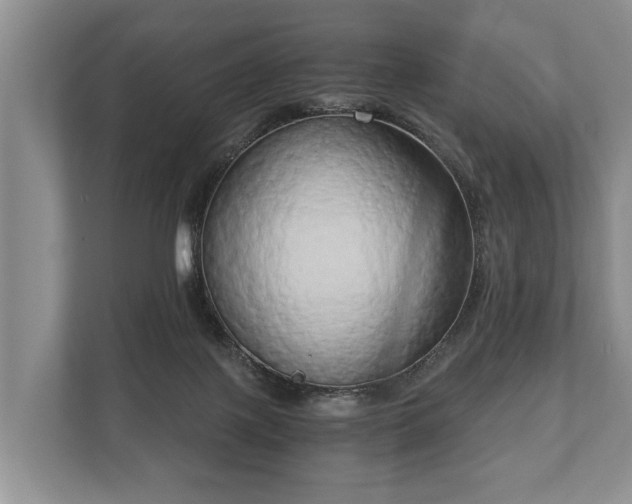 X0000110320075200905281641