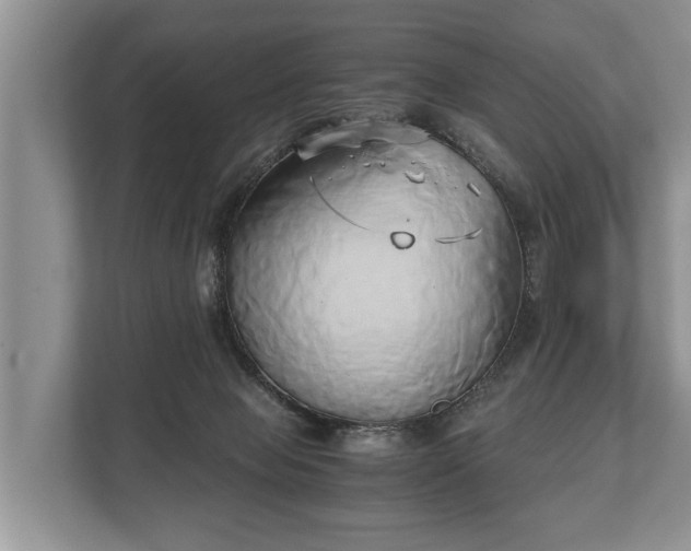 X0000110320077200905281641