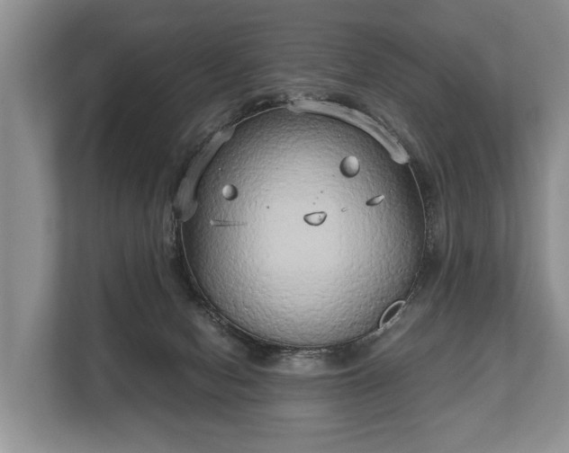 X0000110320078200905281641