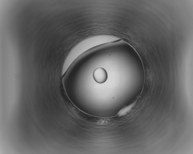 X0000110320080200905281641