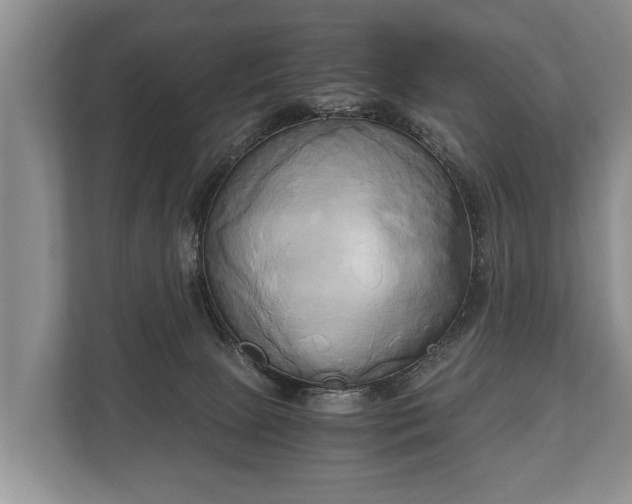 X0000110320081200905281641