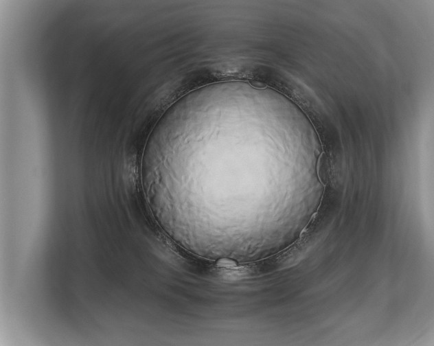 X0000110320085200905281641