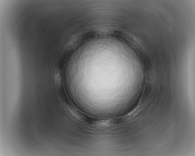 X0000110320086200905281641