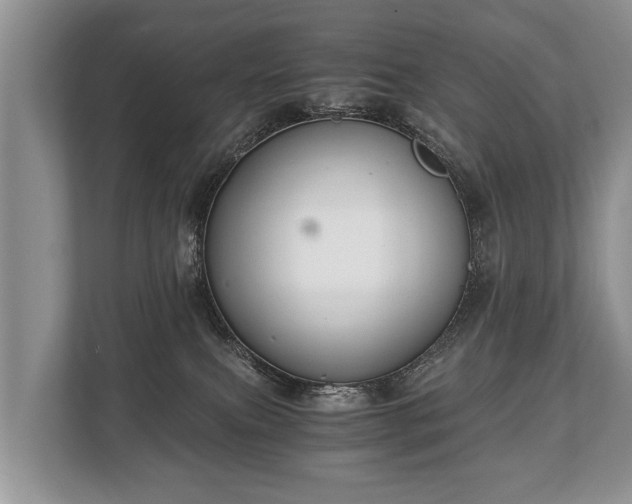 X0000110320087200905281641