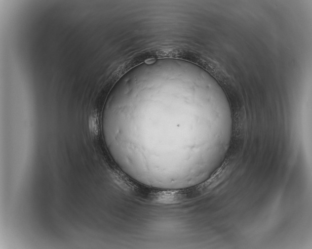 X0000110320090200905281641