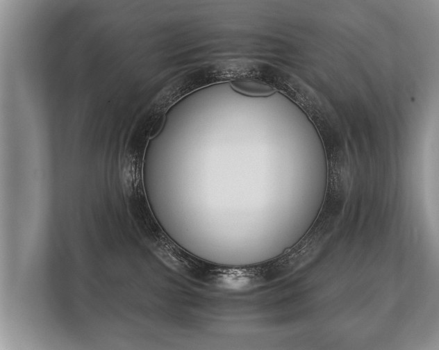 X0000110320091200905281641