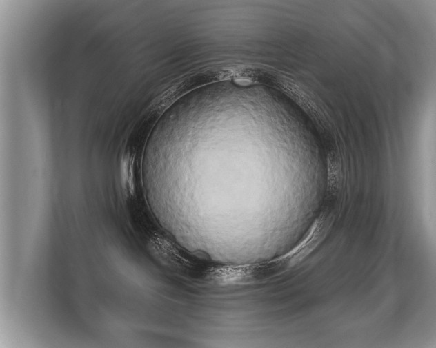 X0000110320094200905281641