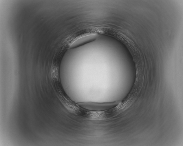 X0000110320096200905281641