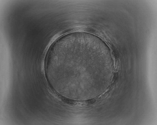 X0000110320099200905281641