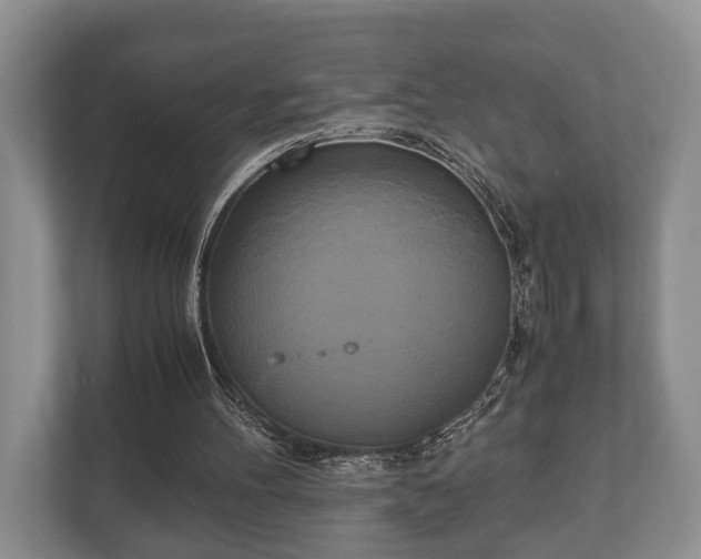 X0000110320100200905281640