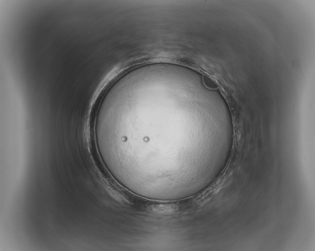 X0000110320102200905281640