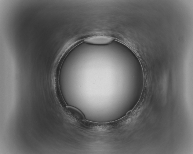 X0000110320103200905281640